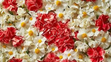 A large pile of white and red flowers photo