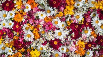 A large pile of flowers is shown in this photo