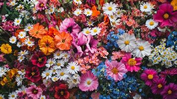 A large variety of flowers are shown in this photo
