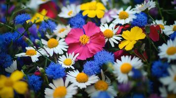 A close up of a bunch of colorful flowers photo