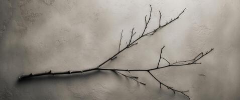 Bare branch lying on a textured gray beige surface photo