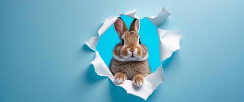 Cute Bunny Peeking Through Torn Paper Hole with Bright Blue Background and Playful Expression. photo