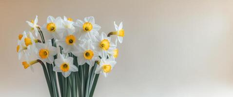 White Daffodils with Sunny Centers Expressing Delicate Spring Harmony. photo