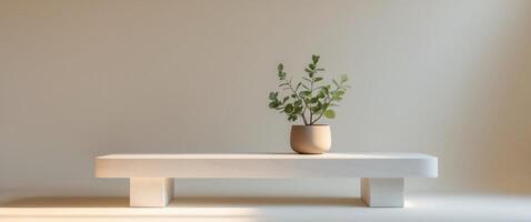Modern interior design features a marble bench and a potted plant in natural light photo