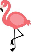 Cute and Whimsical Tropical Flamingo Bird vector