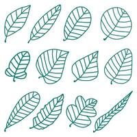Collection of stylish hand drawn leaf illustration perfect for botanical-themed artwork and design applications. vector