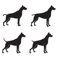 Four Doberman Pinscher Silhouettes in Profile vector