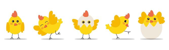 A cute set of funny baby chicks in various poses vector