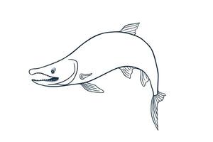 Single trout silhouette black white illustration. Salmon sketch hand drawn. Nerka sea fish painted ink linear art. Sockeye drawing in outline. Design element for package, label, sign board. vector