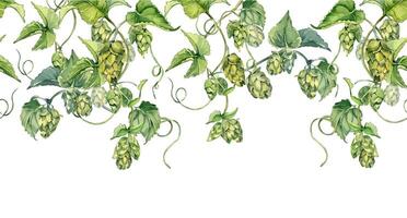 Watercolor seamless border of hop cones on vine and leaves isolated. Humulus plant on repeating banner hand drawn painted. Green hops in botanical sketch for nature product, rustic event, festival vector