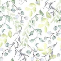 Twigs eucalyptus, leaves in sage green watercolor seamless pattern isolated. Foliage background with repeating plants in pastel tones hand drawn for design textile. Delicate greenery texture vector