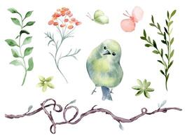 Bird round body green yellow, flowers and branches hand drawn watercolor. Pink butterfly, simple floral elements shaped heart in botanical sketch. Cute avian set for design child textile, home vector