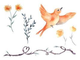 Floral set of flying bird and flowers hand drawn watercolor isolated. Bird in flight, butterfly illustration in botanical sketch. Colorful plant elements, twig shaped heart for textile, child design. vector