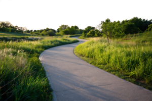 A paved path in a grassy field with trees and bushes png