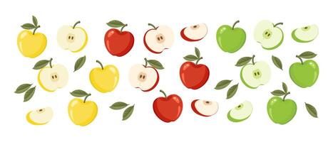Set of yellow, red and green apples with leaves isolated on white background. Whole, half and slices of ripe juicy fruit. Harvest. Food illustration vector