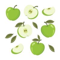 Set of green apples with leaves isolated on white background. Whole, half and slices of ripe juicy fruit. Summer harvest. Illustration vector