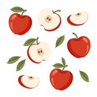 Set of red apples with leaves isolated on white background. Whole, half and slices of ripe juicy fruit. Summer harvest. Illustration vector