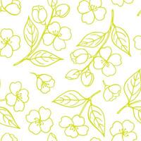 Seamless pattern with leaves and flowers of jasmine. Hand drawn illustration vector