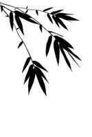 A branch of bamboo Silhouette with Black leaves isolated on a background in a simple illustration. Zen concept. vector