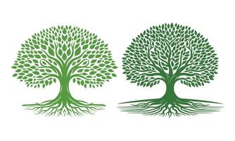Logos of green Tree leaf ecology vector