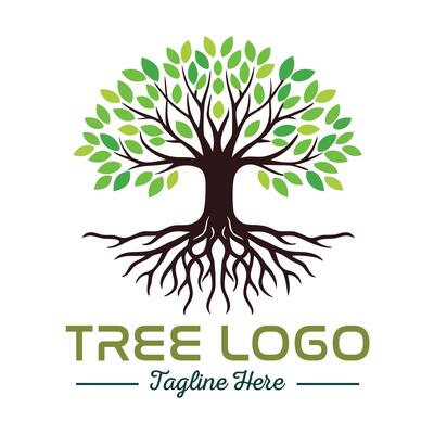 Beautiful green tree silhouette design, business logo for tree icon on white background.