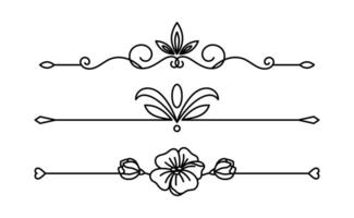 Calligraphic ornament set art on black and white colour vector