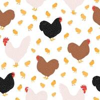 Seamless pattern with domestic birds or farm poultry on white background - and chicken, rooster, hen and chicks. Cartoon hand drawn illustration for wrapping paper, textile print. vector