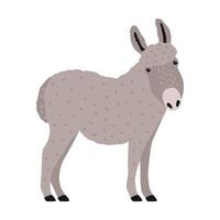 Amusing grey donkey, ass or burro isolated on white background. Portrait of adorable cartoon domestic working animal, farm livestock. Colorful and drawn illustration in modern trendy style. vector