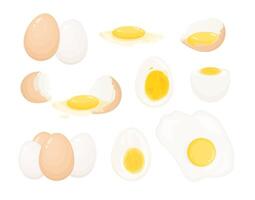 Collection of raw, boiled and fried eggs, peeled and covered with eggshell. Bundle of delicious high-protein food products isolated on white background. Realistic colorful illustration. vector