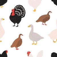 Seamless pattern with domestic birds or farm poultry on white background - rooster, chicken, goose, duck, quail, turkey. Cartoon hand drawn illustration for wrapping paper, fabric print. vector