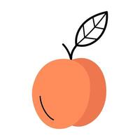 Whole ripe peach with twig and leaf. Hand drawn sketch icon of fruit. Isolated illustration in doodle line style. vector
