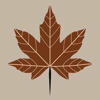 Illustration of Red Maple Leaf vector