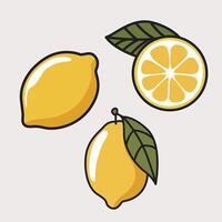 Minimalistic Lemon Set Fresh and Aesthetic Citrus Illustrations vector