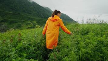 Contemplation Of Beauty Of Nature, Enjoying Solitude, Woman Exploring Kamchatka Peninsula, Rearview video