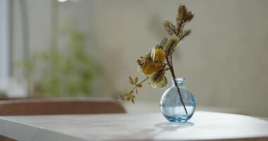 Table In Restaurant, Closeup View On Beautiful Vase With Spruce Branch, Cute Decoration In Cafe video