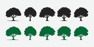 Tree Silhouette and Color Icons. Tree Silhouette Icon Set. Nature Tree Icon Collection. Botanical Tree Silhouette Set. vector