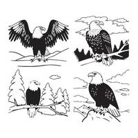 Set of Eagle birds vector