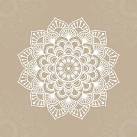 A white flower design on a brown background vector