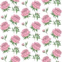 Minimalistic flowers seamless pattern. Delicate pink peony with stem and leaves, small bud. Botanical spring pattern. Suitable for wallpaper, textiles, wrapping paper, postcards. illustration. vector