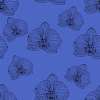 Seamless pattern of black line drawn orchid flowers on a blue background. For wallpaper, botany pattern, packaging design vector