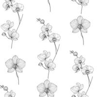 Seamless pattern with hand drawn flowers. Line art orchids. Floral background. Elegant and minimalistic design, perfect for textiles, wallpapers. vector