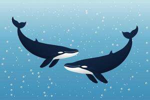 Two whales in the ocean flat illustration vector