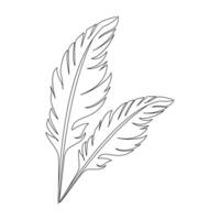 Bird feather single-line art beautifully captures the lightness and elegance of a feather, using a continuous line to symbolize freedom and flight vector