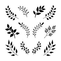 Black and white floral leaf set silhouettes grass patterns icon set illustration. vector
