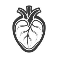 Anatomical heart illustration black and white. Heart icon editable stock. vector