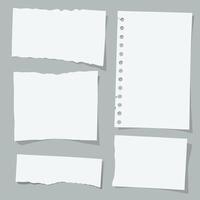 Torn paper scraps white fragments gray background. vector