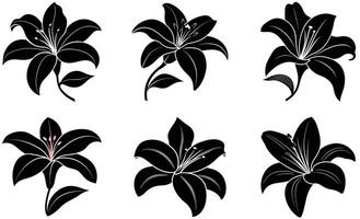 Set of Lily Silhouettes illustration on white background vector