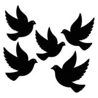 Set of Dove Silhouettes isolated on White Background vector