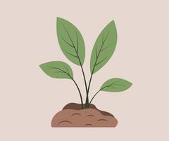 Spring seedling. Young Plant development. Concept of New beginning, Gardening, Agriculture, Ecology. Element for design. vector