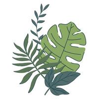 tropical green leaves set. monstera, palm, fern, ivy in various shapes and sizes. simple flat style. illustration. Perfect for prints, packaging, invitations, branding, backgrounds, textile vector